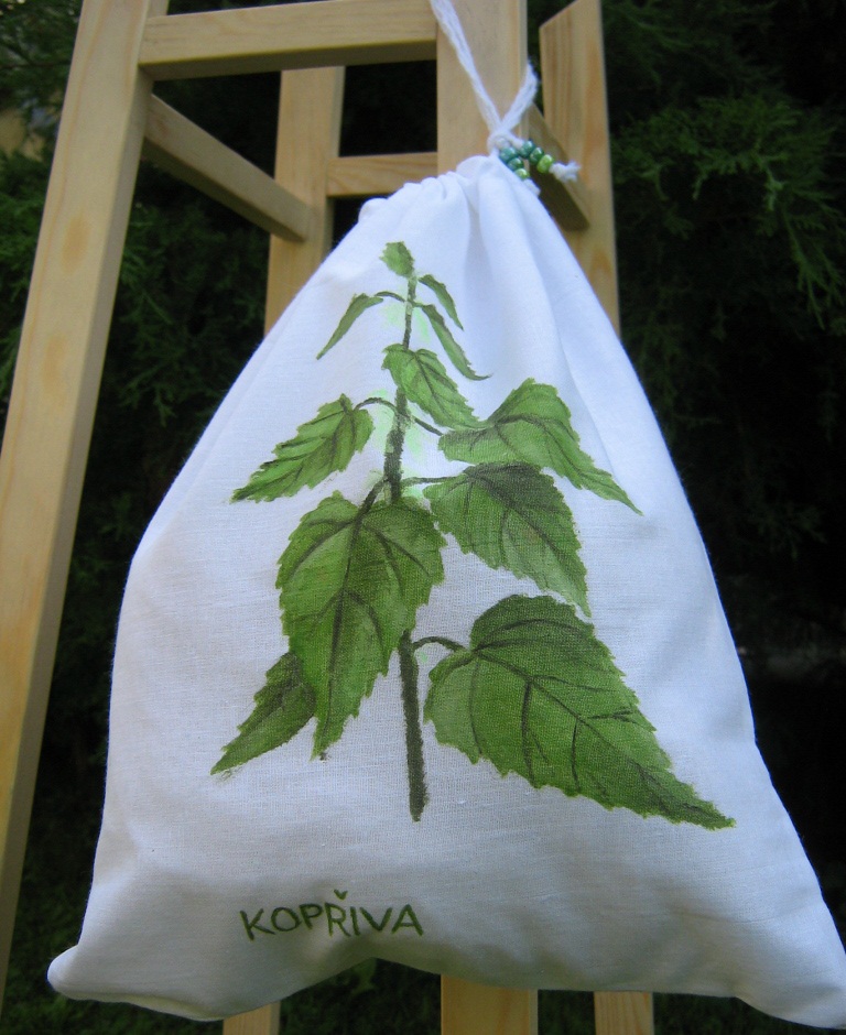 kopřiva 1
