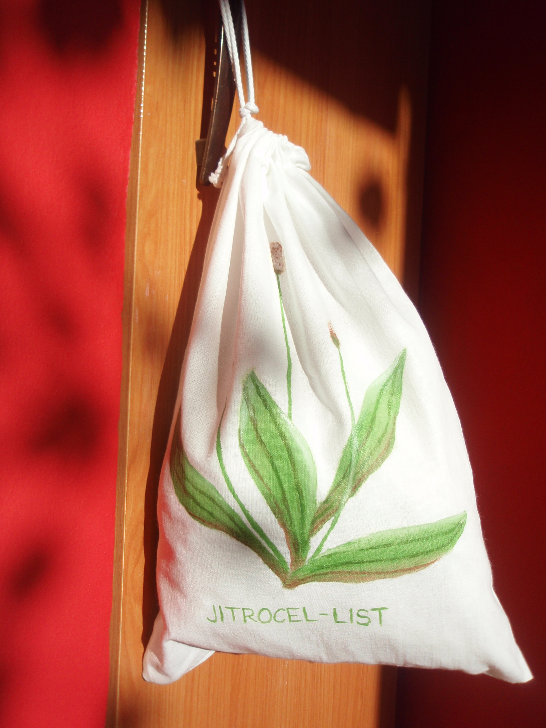 jitrocel